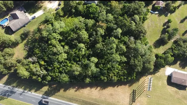 Dade City, FL 33525,00 HAMRICH DR