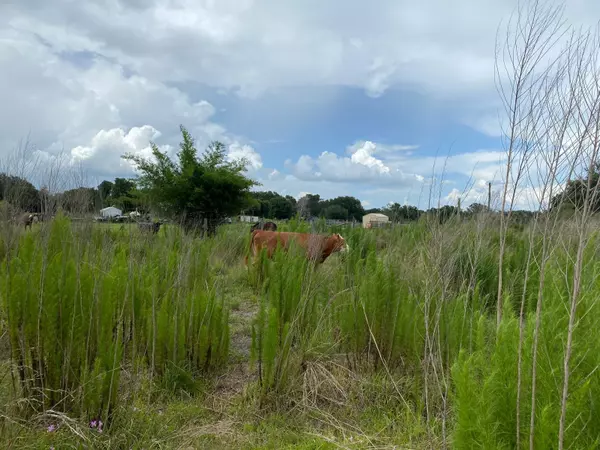 Zolfo Springs, FL 33890,5187 GREENFIELDS RUN