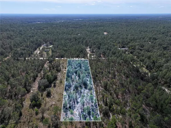 Interlachen, FL 32148,ROSE TRL