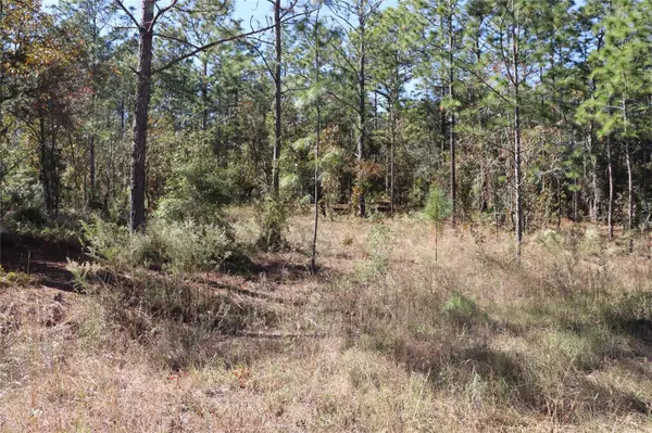 Ocala, FL 34481,TBD SW 131ST CIRCLE