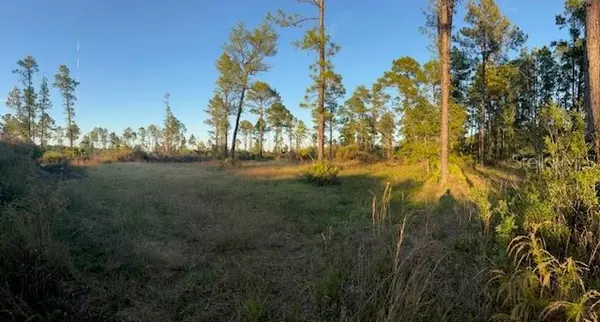 Eustis, FL 32736,0 SEAGRAPE AVE