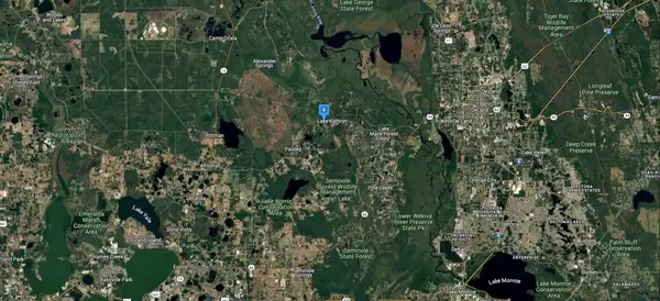 Paisley, FL 32767,45705 GEORGIA ST