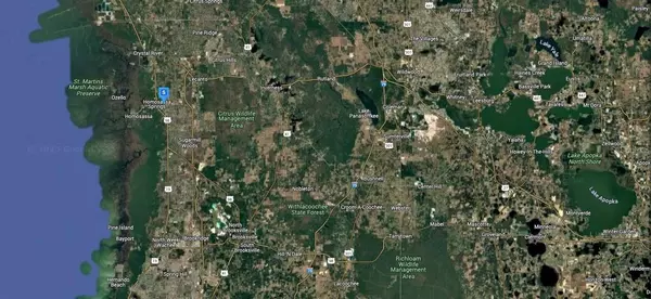 Homosassa, FL 34446,7689 W BRIARPATCH ST