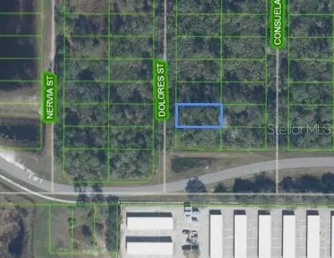 Sebring, FL 33872,5255 DOLORES ST
