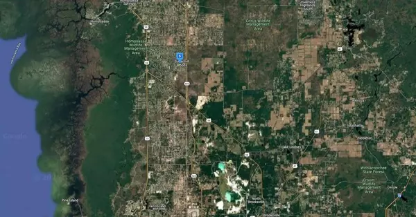 Homosassa, FL 34446,29 HIGHWOOD PATH