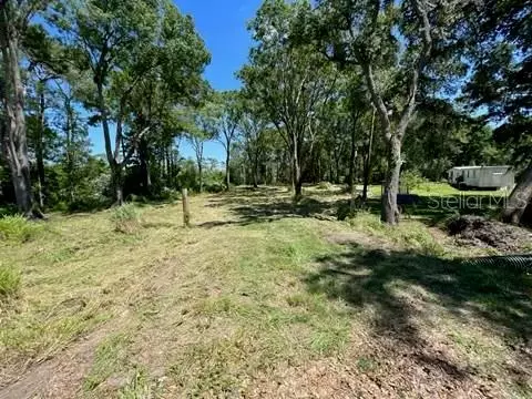 Polk City, FL 33868,508 CALLA PL