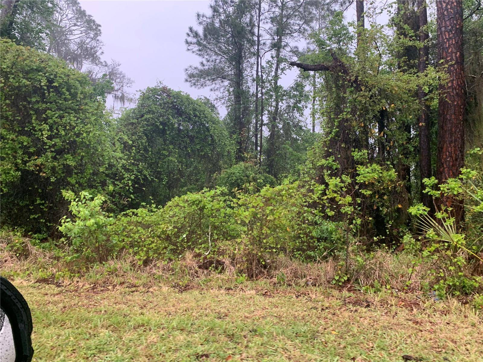 Hawthorne, FL 32640,SE 69TH AVE