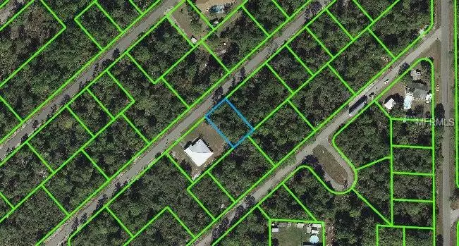 Lake Placid, FL 33852,1055 CELLINI ST