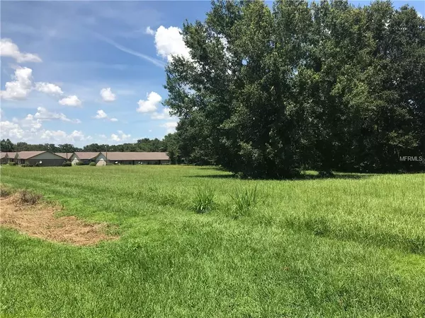 DIANA AVE, Wauchula, FL 33873