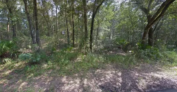 Lot 9 SPRUCE TER, Ocala, FL 34472