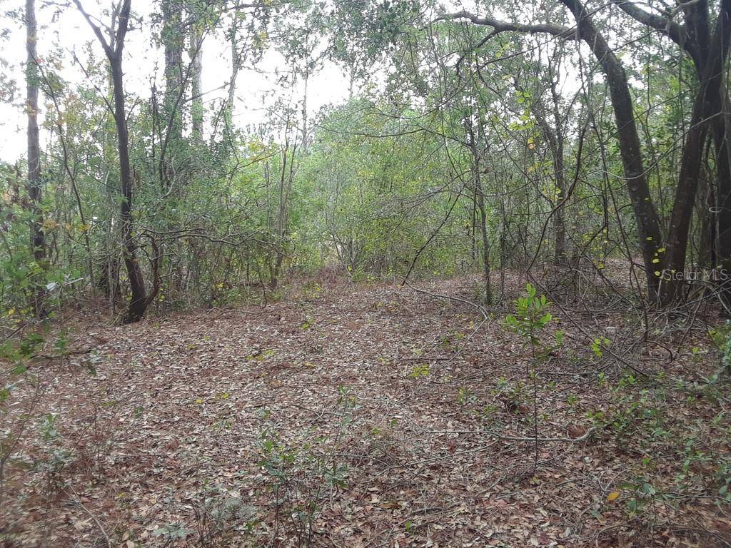 SEAFARER WAY, Orlando, FL 32817
