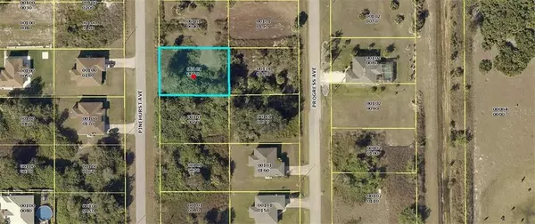 Lehigh Acres, FL 33974,423 PINEHURST AVE