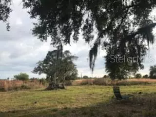 Punta Gorda, FL 33982,50054 BERMONT RD