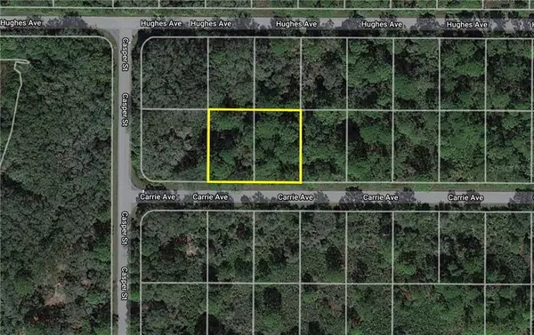 Port Charlotte, FL 33953,13414 CARRIE AVE