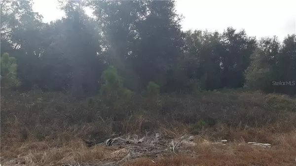 North Port, FL 34288,LOT 6 PILGRIM RD