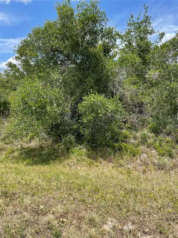 Punta Gorda, FL 33982,33514, 33522,33528 WASHINGTON LOOP RD
