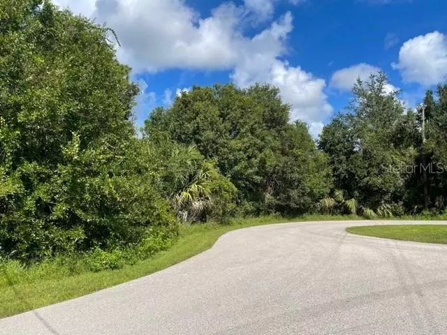 Punta Gorda, FL 33983,LOT 24 & 25 ANGOL ST