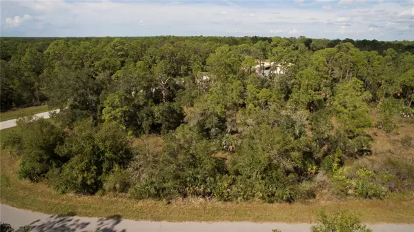 Port Charlotte, FL 33953,1347 POCKET TER