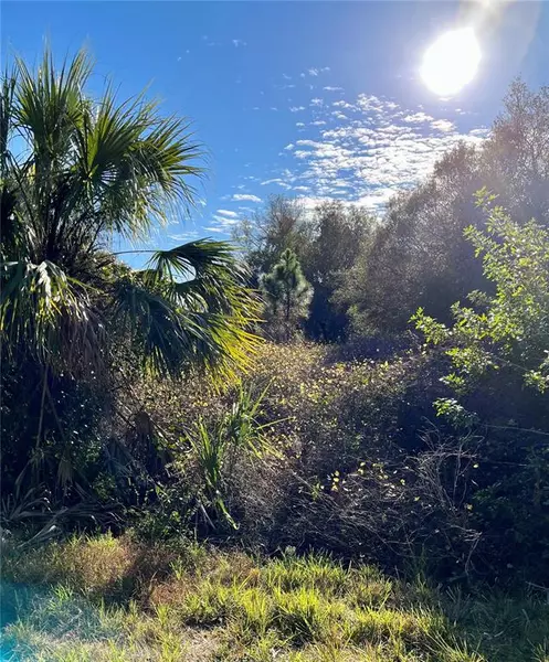 Lot 21 HANFORD LN, North Port, FL 34288