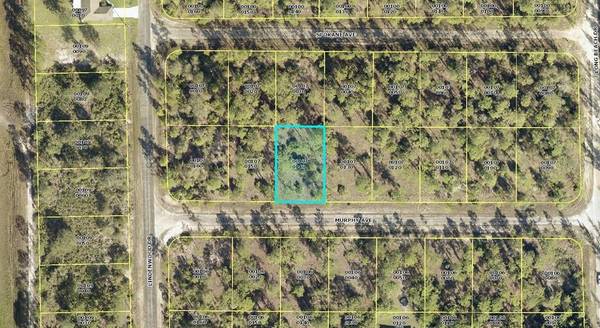 310 MURPHY AVE, Lehigh Acres, FL 33972