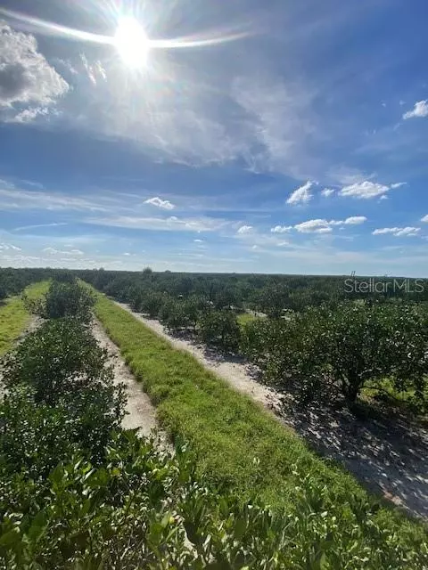 Punta Gorda, FL 33982,44511 NEAL RD