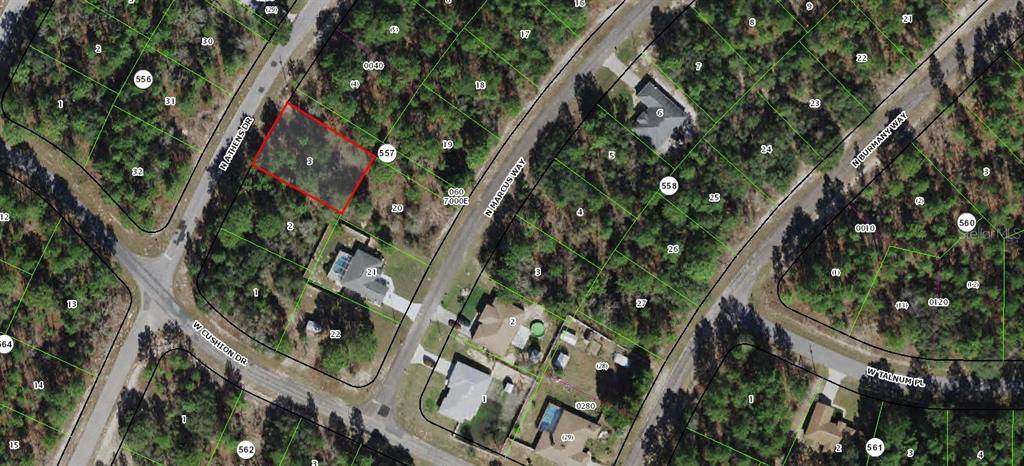 9109 N ATHENS DR, Citrus Springs, FL 34433