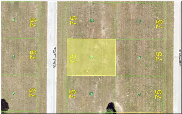 28 CHINABERRY WAY, Placida, FL 33946