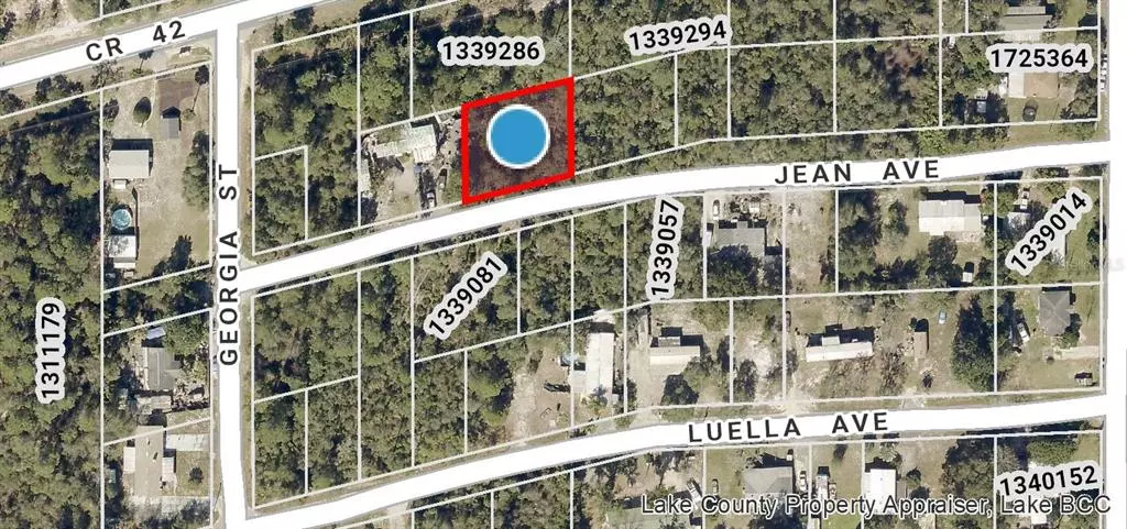 LOTS 21, 22, 23, 24 JEAN AVE, Paisley, FL 32767
