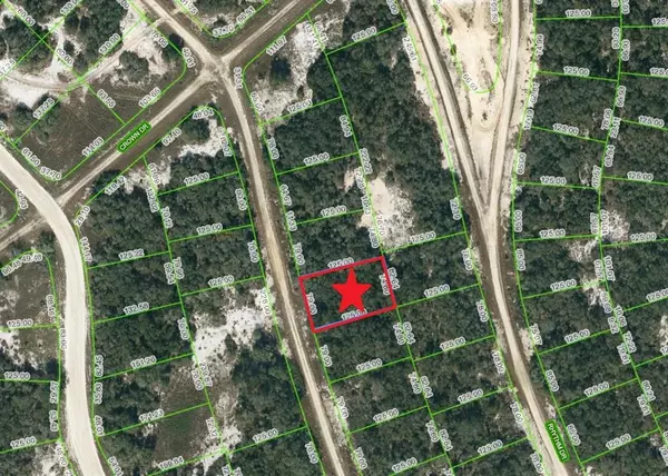 233 SUNWAY DR, Lake Placid, FL 33852