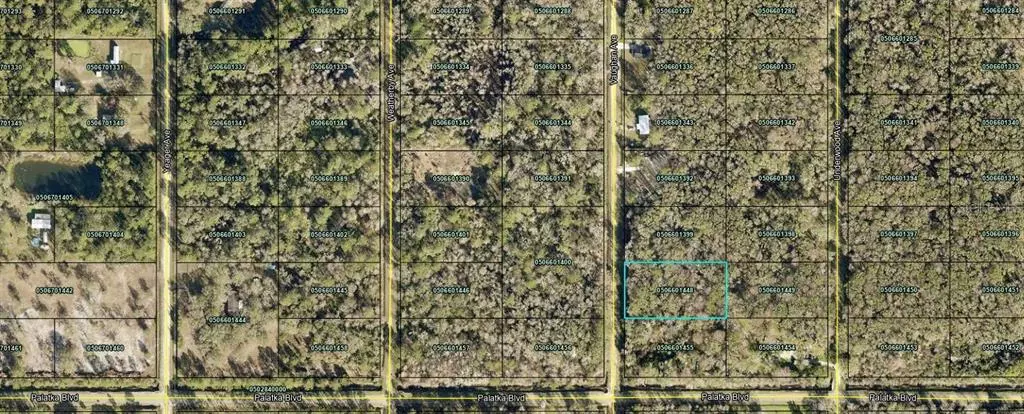 10560 VAUGHAN AVE, Hastings, FL 32145