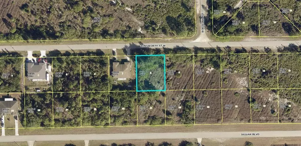 Lehigh Acres, FL 33974,932/934 AINSWORTH ST W