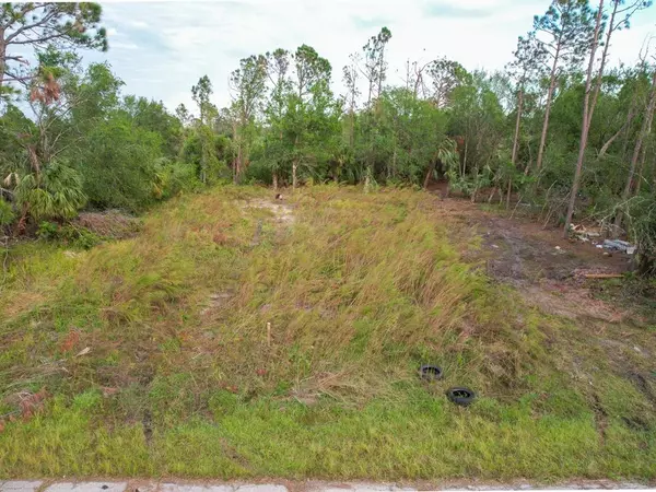 North Port, FL 34288,Lot 12 BUTTON ST