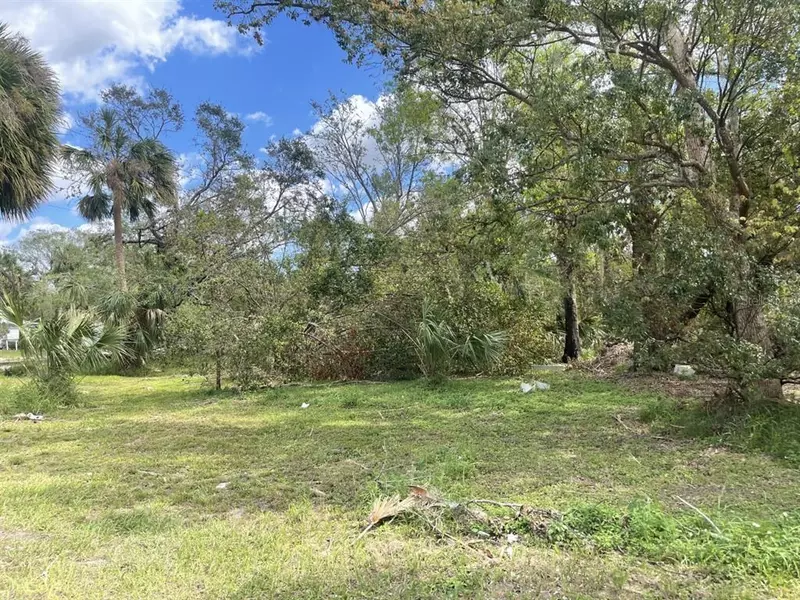 W PINE ST, Arcadia, FL 34266