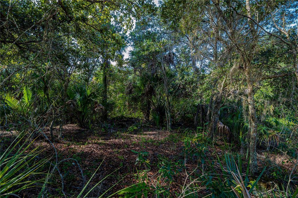 Port Charlotte, FL 33948,17381 GULFSPRAY CIR