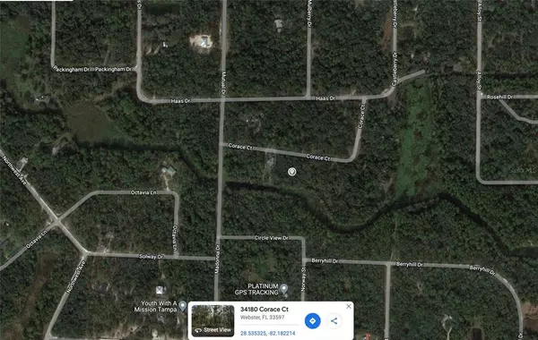 Webster, FL 33597,34180 CORACE CT