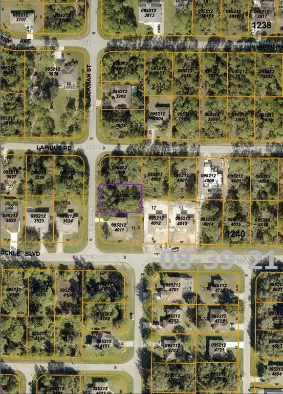 North Port, FL 34291,BLACKMAN ST