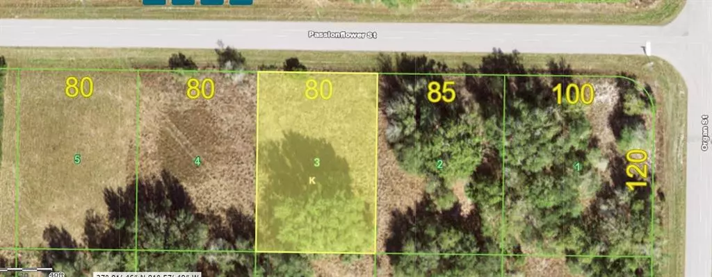 Punta Gorda, FL 33982,29465 PASSION FLOWER ST