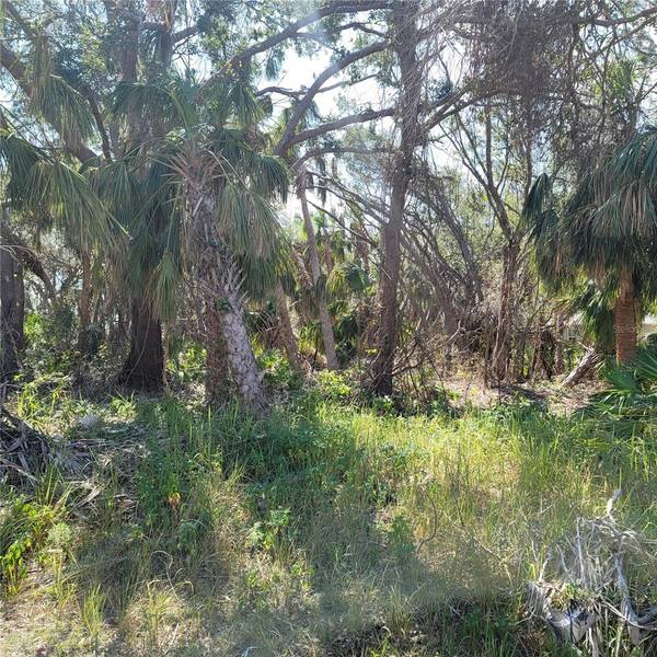 CARUSO LN, North Port, FL 34287