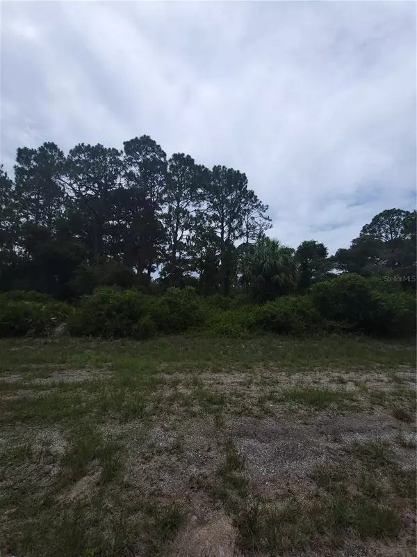 North Port, FL 34291,PASO LOT 8 AVE