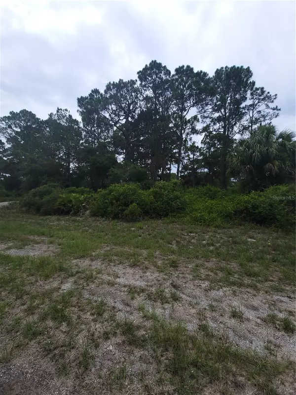 North Port, FL 34291,PASO LOT 8 AVE