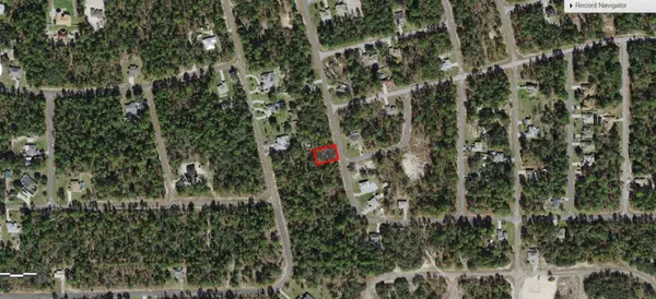 Citrus Springs, FL 34433,7104 N MALTESE DR