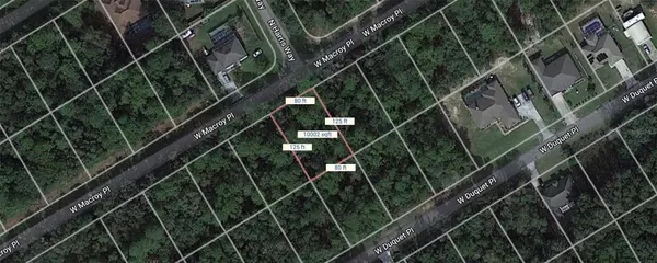 Citrus Springs, FL 34434,612 W MACROY PL