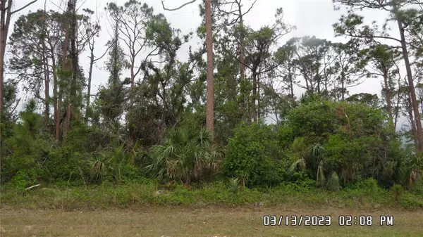 North Port, FL 34288,Lot 18 PEREZ CT