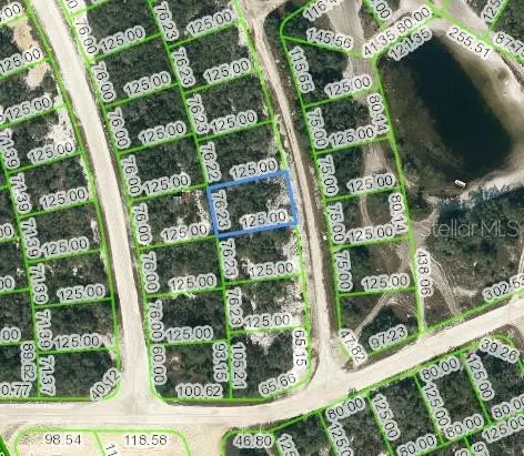 211 HOPEDALE DR, Lake Placid, FL 33852