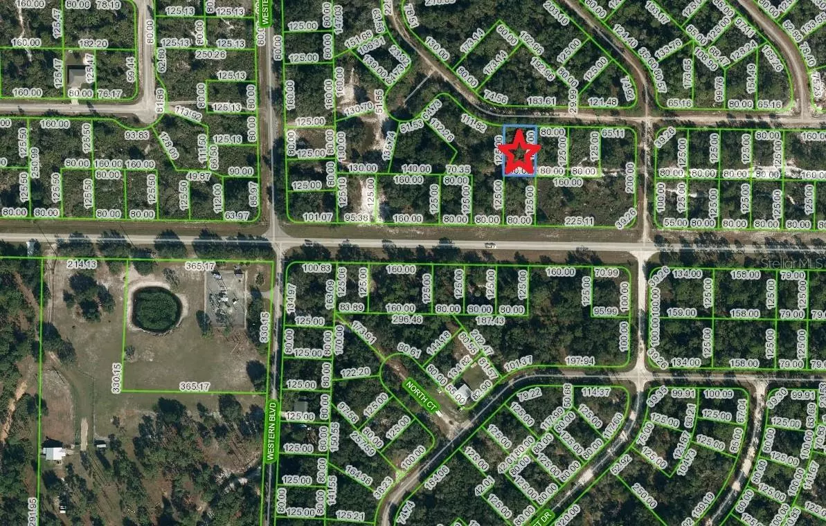 Lake Placid, FL 33852,3252 GOSSAMER AVE