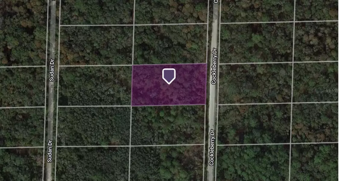 COCKLEBERRY DR, Webster, FL 33597