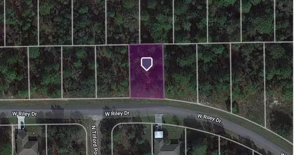 Citrus Springs, FL 34434,2591 W RILEY DR