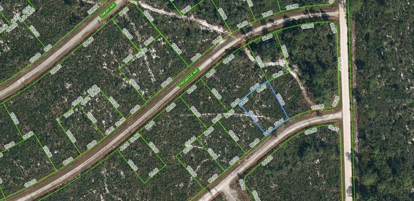 3105 DE GAULLE AVE,  Lake Placid,  FL 33852