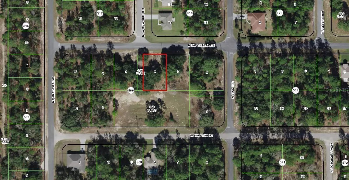 Citrus Springs, FL 34433,9037 N SAPONARIA DR