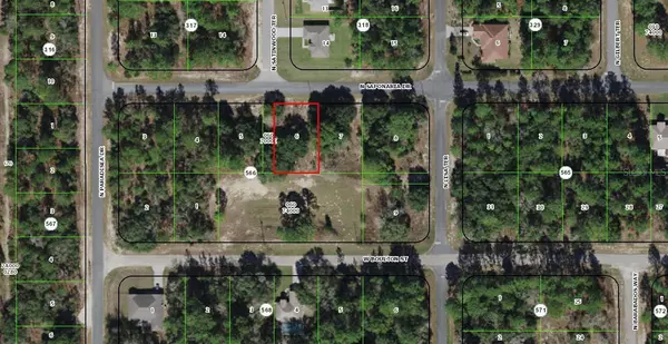 9037 N SAPONARIA DR, Citrus Springs, FL 34433